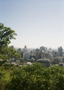 View of Montreal from atop Mount Royal
