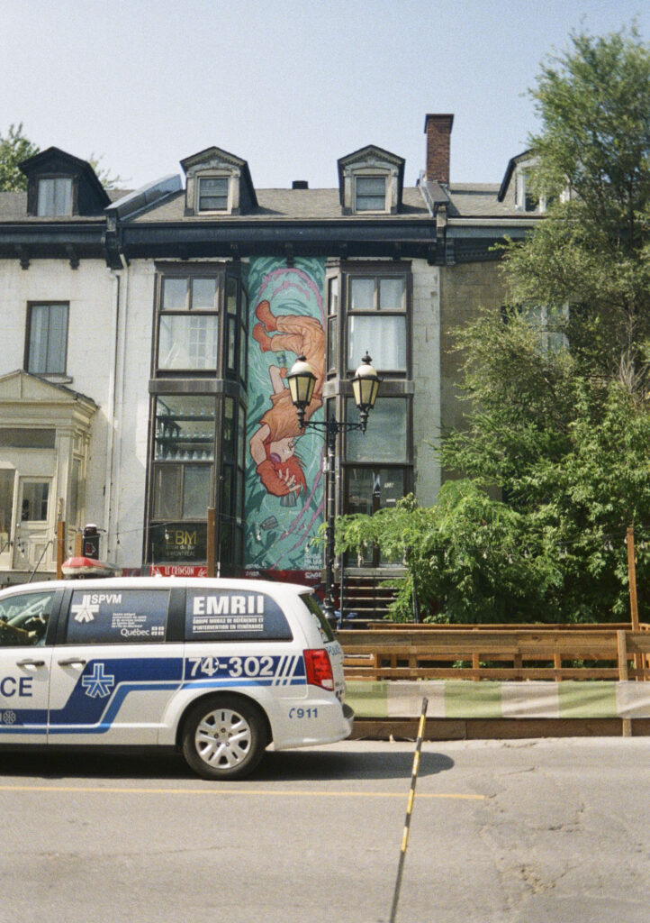 Narrow, vertical mural in between buildings